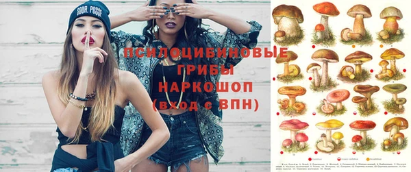 тгк Зеленокумск