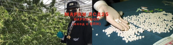 прущая мука Инсар
