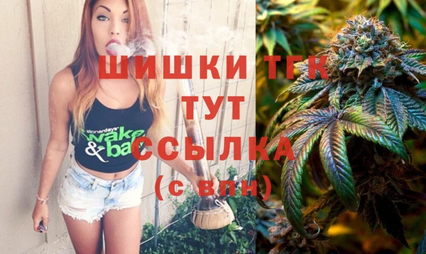прущая мука Инсар