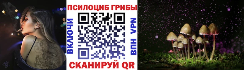 Галлюциногенные грибы Cubensis  Купить  Рассказово 